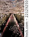 Cherry blossoms of Meguro River 22129250