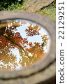 Autumn leaves reflected on the surface of the water 22129251