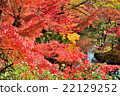 Autumn leaves of Eikan-do 22129252