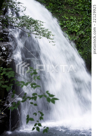 Red-Eyes Advance Falls 22129925