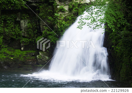 Red-Eyes Advance Falls Red-Eyes Advance Falls 22129926