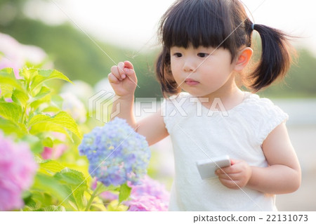Beautiful hydrangea♪ 22131073
