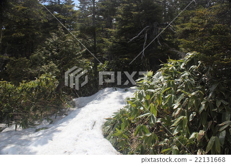 Remaining snow on Ontakeyama in Nagano Prefecture Remaining snow on Ontakeyama in Nagano Prefecture 22131668