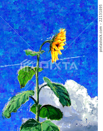 向日葵夏天雲 22131895