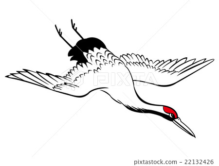 飛揚的白鶴(Flying Crane,Grus japonensis) 22132426