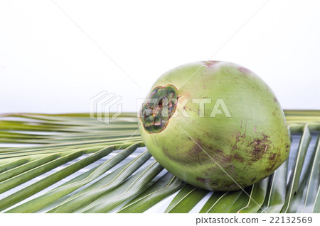 One young and juicy organic green coconut One young and juicy organic green coconut 22132569