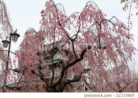 Aomori Prefecture. Hirosaki Castle Aomori Prefecture. Hirosaki Castle 22133605