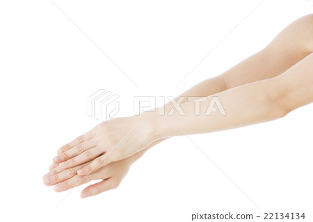 美女 22134134