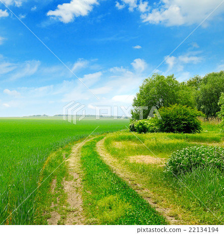 field, country road and a blue sky field, country road and a blue sky 22134194