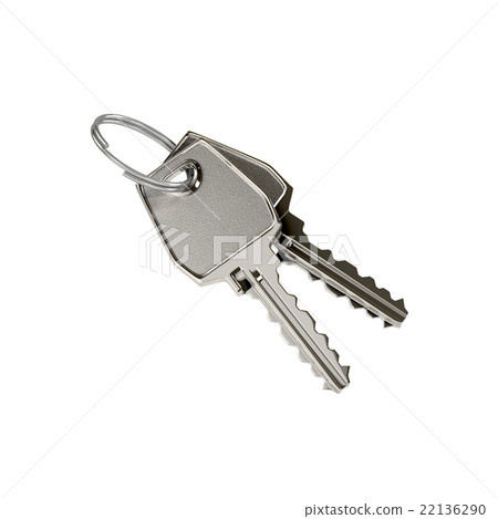 Two keys on a ring Two keys on a ring 22136290