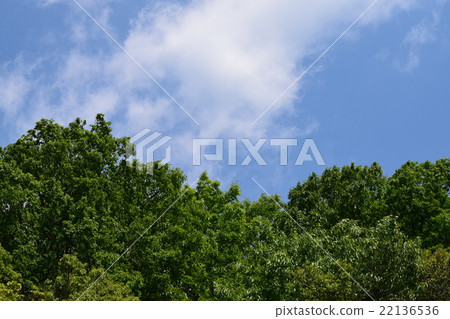 Country sky Country sky 22136536