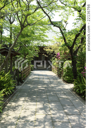 Tamotsuji Temple (May) Tamotsuji Temple (May) 22136766