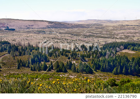 View of Paul da Serra, Madeira, Portugal View of Paul da Serra, Madeira, Portugal 22136790