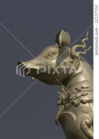 Sculpture of Chinese zodiac pig 22137152
