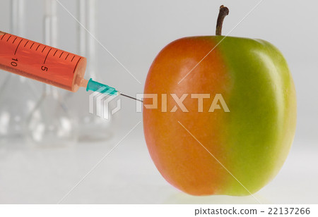 genetically modified foods 22137266