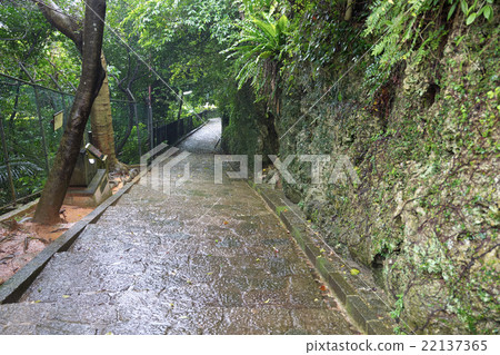 Maedamichi wetted by rain, Shimaashisaka (Simasyvilla), Shuri Kinjo Town, Okinawa 22137365
