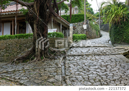 在沖繩的首里金城鎮的雨,濕滑,鵝卵石街道的潮濕的斜坡 在沖繩的首里金城鎮的雨,濕滑,鵝卵石街道的潮濕的斜坡 22137372