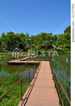 Mogi Park Mogi Park 22137982