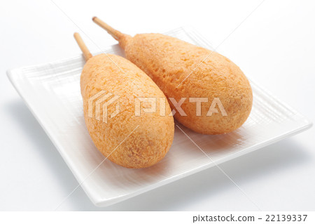 美國狗 22139337