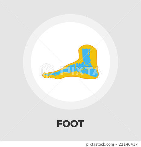 Foot anatomy flat icon 22140417