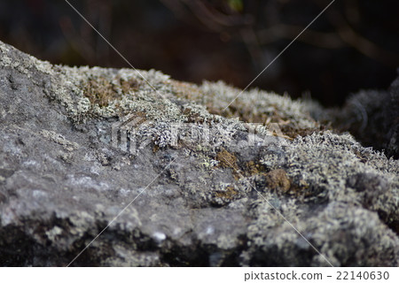 At the Onikakenoken 22140630