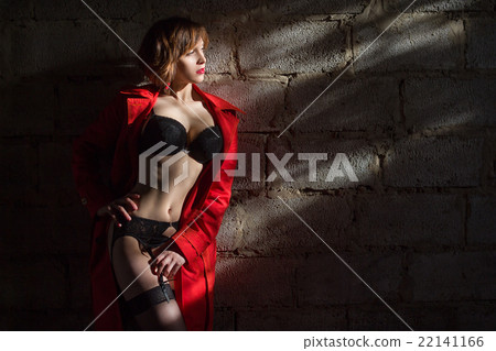 Attractive woman alluring in lingerie and coat. Attractive woman alluring in lingerie and coat. 22141166