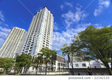 新鮮的綠色令人眼花繚亂的Minato Mirai 新鮮的綠色令人眼花繚亂的Minato Mirai 22142110