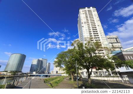 新鮮的綠色令人眼花繚亂的Minato Mirai 新鮮的綠色令人眼花繚亂的Minato Mirai 22142113