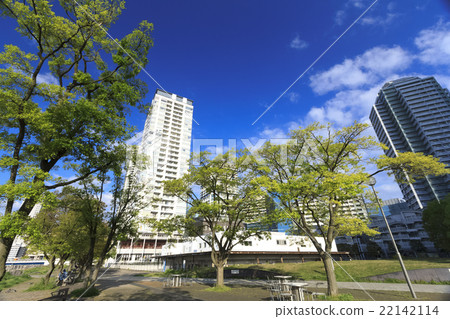 新鮮的綠色令人眼花繚亂的Minato Mirai 新鮮的綠色令人眼花繚亂的Minato Mirai 22142114
