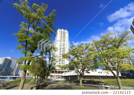 新鮮的綠色令人眼花繚亂的Minato Mirai 新鮮的綠色令人眼花繚亂的Minato Mirai 22142115