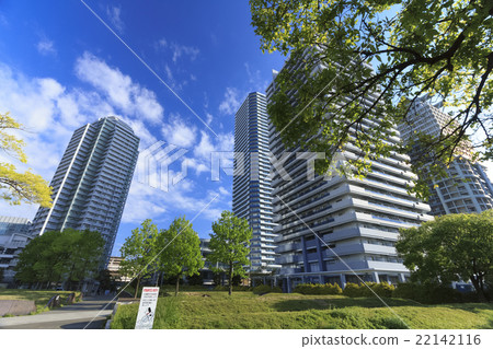 新鮮的綠色令人眼花繚亂的Minato Mirai 新鮮的綠色令人眼花繚亂的Minato Mirai 22142116