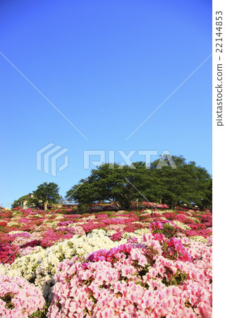 Nishiyama park 22144853