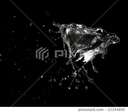 水濺黑背 水濺黑背 22144895