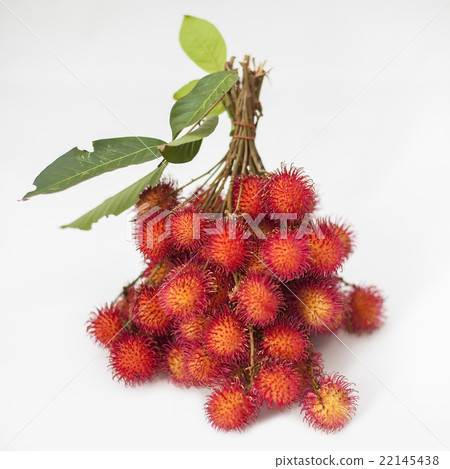 Rambutan Rambutan 22145438
