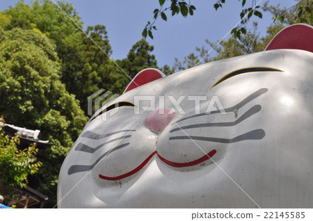 Cats shrine Cats shrine 22145585