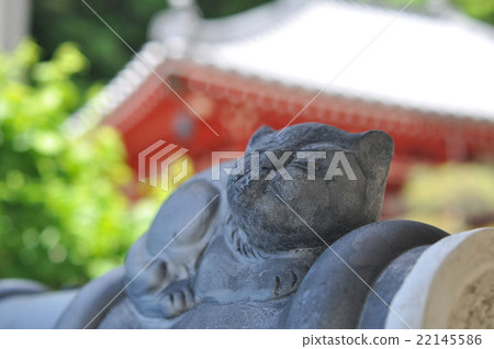 Cats shrine Cats shrine 22145586