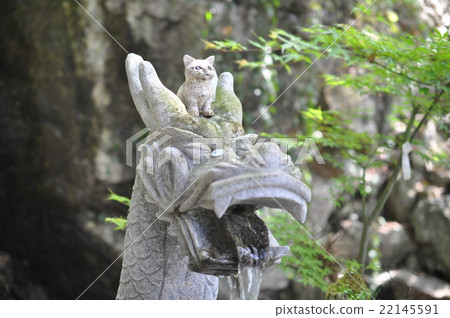 Cats shrine Cats shrine 22145591