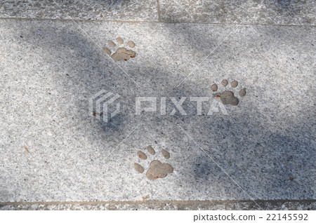 Cats shrine Cats shrine 22145592