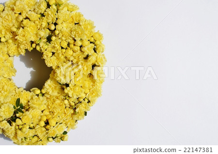 Lease of mockybara 22147381