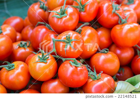 Fresh tomatoes in the market 22148521