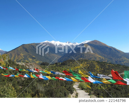 Baimang or Baima Snow Mountain, Shangri-La, Yunnan 22148796
