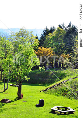 Civil Forest 22148938