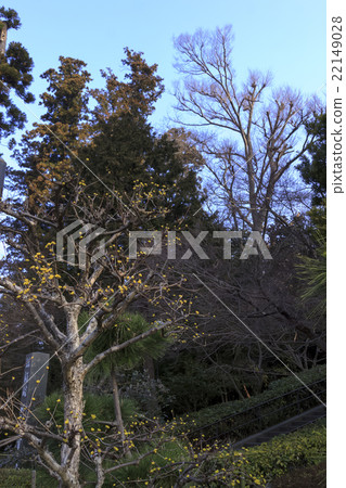 Round Temple in March 22149028