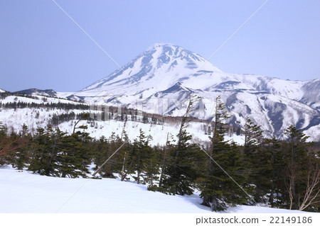 知己開十字路口 知己開十字路口 22149186