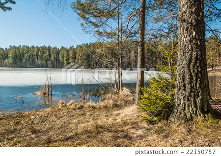 Spring landscape at wood lake Spring landscape at wood lake 22150757