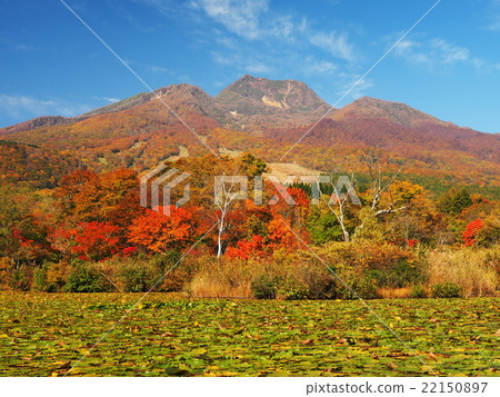 秋天的Mt. Myokoyama 22150897