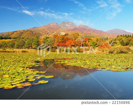 Mt. Myokoyama從秋天的葉子從Imomi池塘 22150898