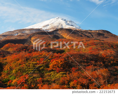 Autumn leaves Chokaiyama 22151673