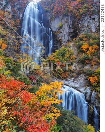 秋天秋天的秋天葉子 22152458