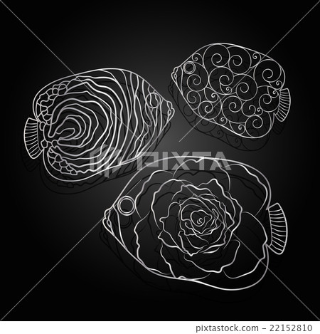 Silver ornamental graphic fish Silver ornamental graphic fish 22152810